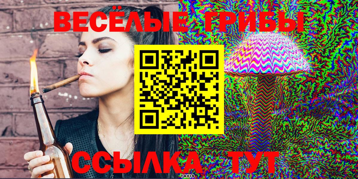 как найти закладки  Галлюциногенные грибы Psilocybine cubensis  Вход с VPN  Грязи 