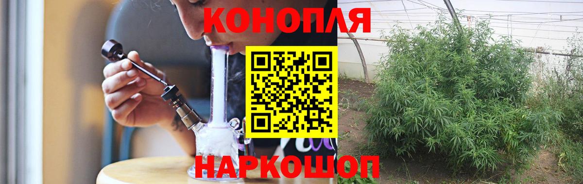 Бошки Шишки конопля Грязи